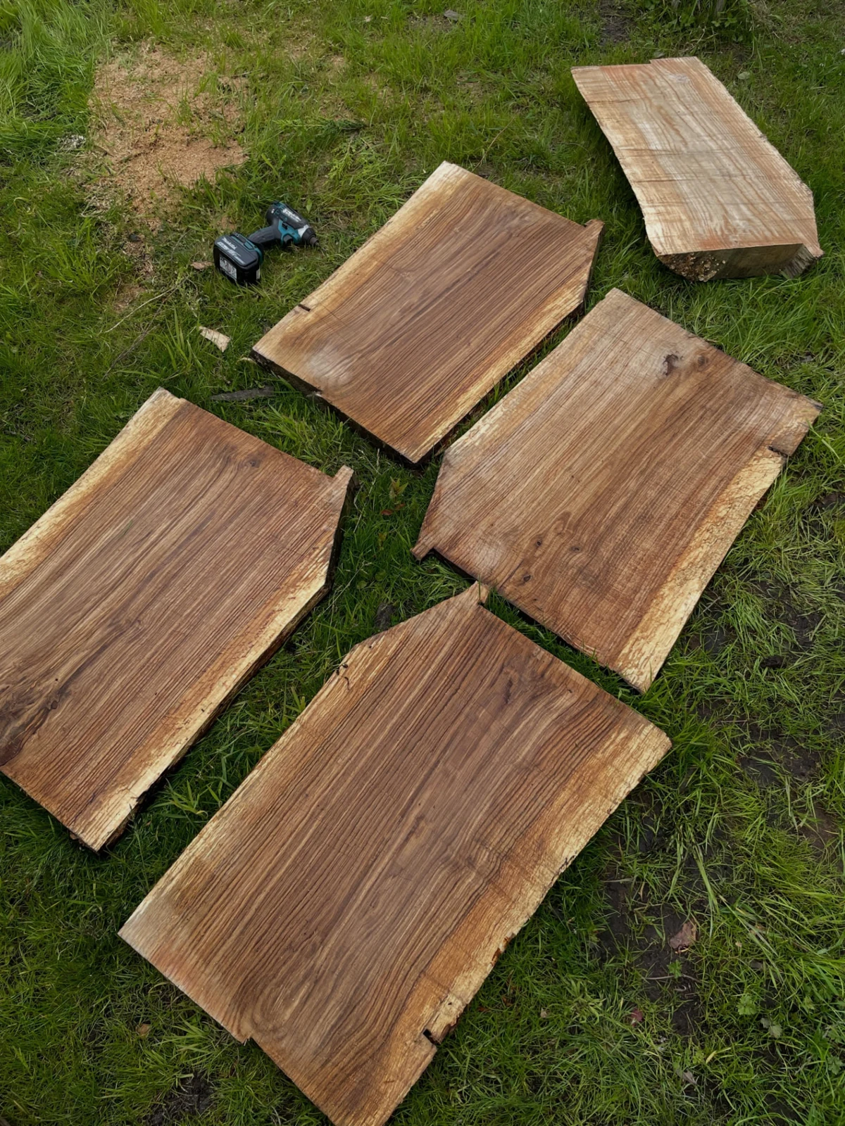 Real live-edge timber slabs chainsaw milled by North West Timber, laid out on grass